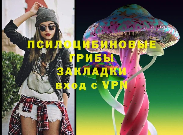 тгк Армянск