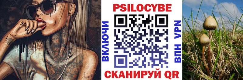 Псилоцибиновые грибы прущие грибы  Белинский 